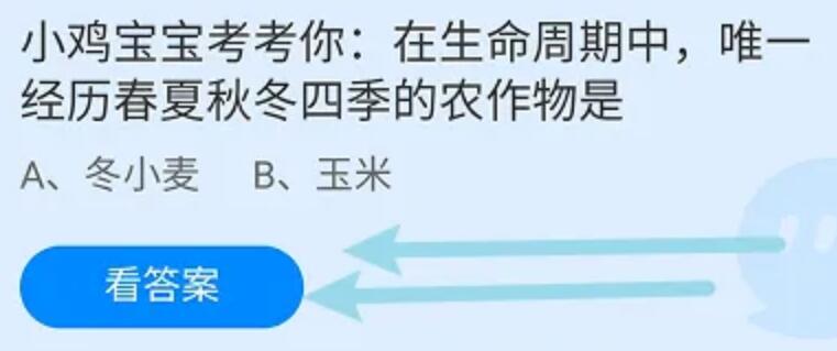 蚂蚁庄园今天正确答案：在生命周期中唯一经历春夏秋冬四季的农作物是？