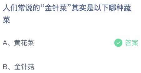 人们常说的“金针菜”其实是以下哪种蔬菜？蚂蚁庄园今日答案最新7.26