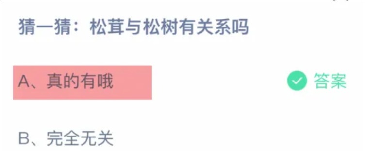 猜一猜：松茸与松树有关系吗？蚂蚁庄园今日答案最新解答