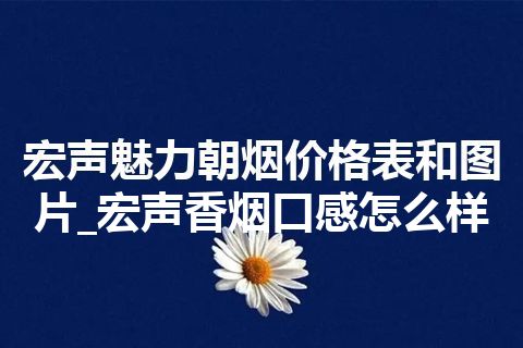 宏声魅力朝烟价格表和图片_宏声香烟口感怎么样